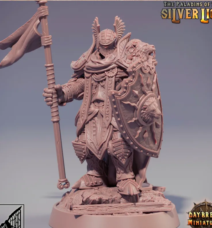 paladino, humano, masculino, homem