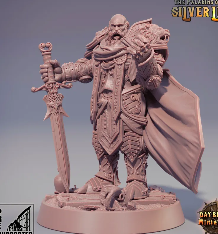 paladino, humano, masculino, homem