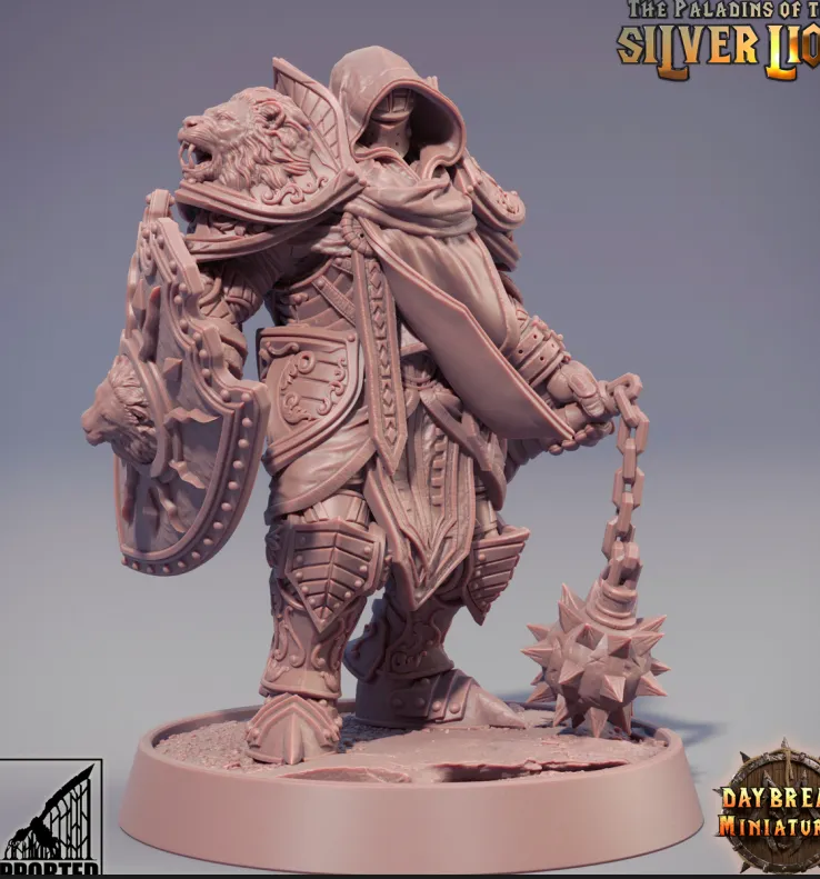 paladino, humano, masculino, homem