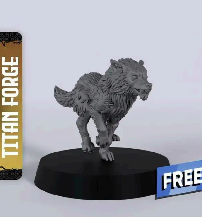 lobo, animal, animais