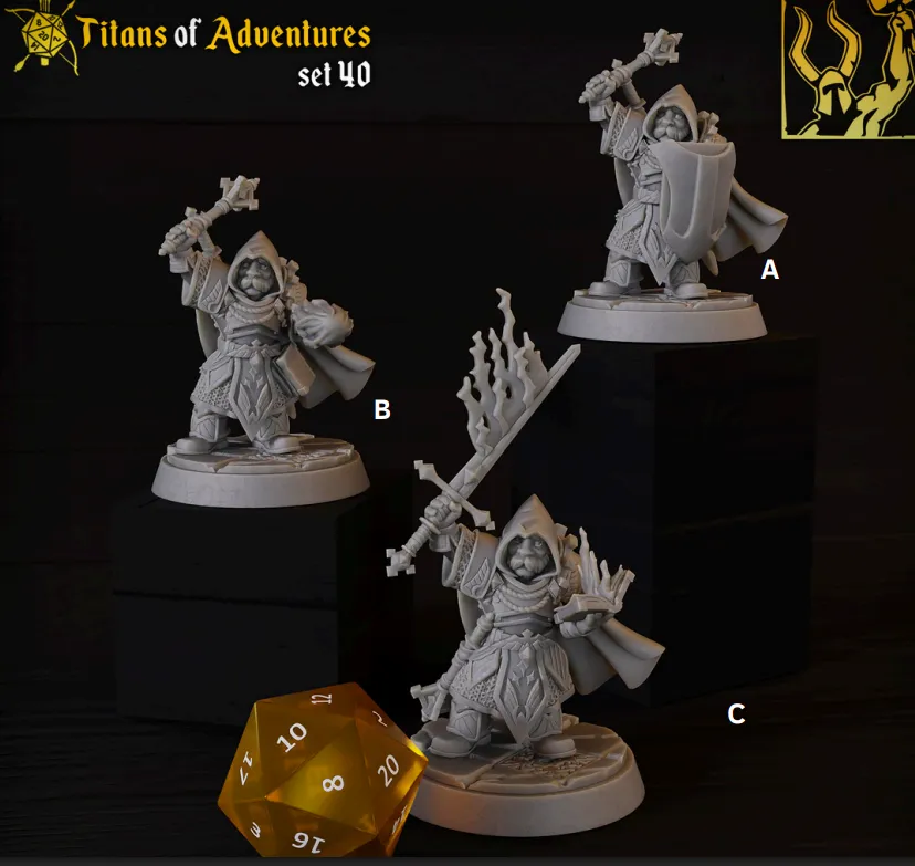 gnomo, clérigo, divino, suporte, homem, masculino, chama, espada, escudo, batedor, livro