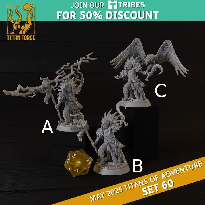 druida, magia, magico, passaro, cajado