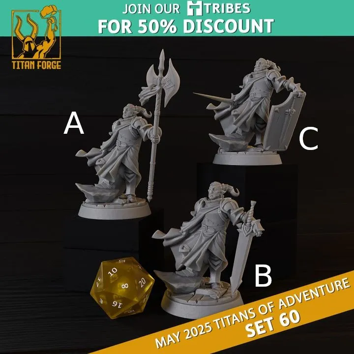 paladino, suporte, escudo, espada, masculino, homem