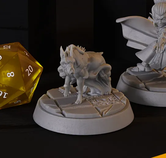 cachorro, cao, cães, animal, animais