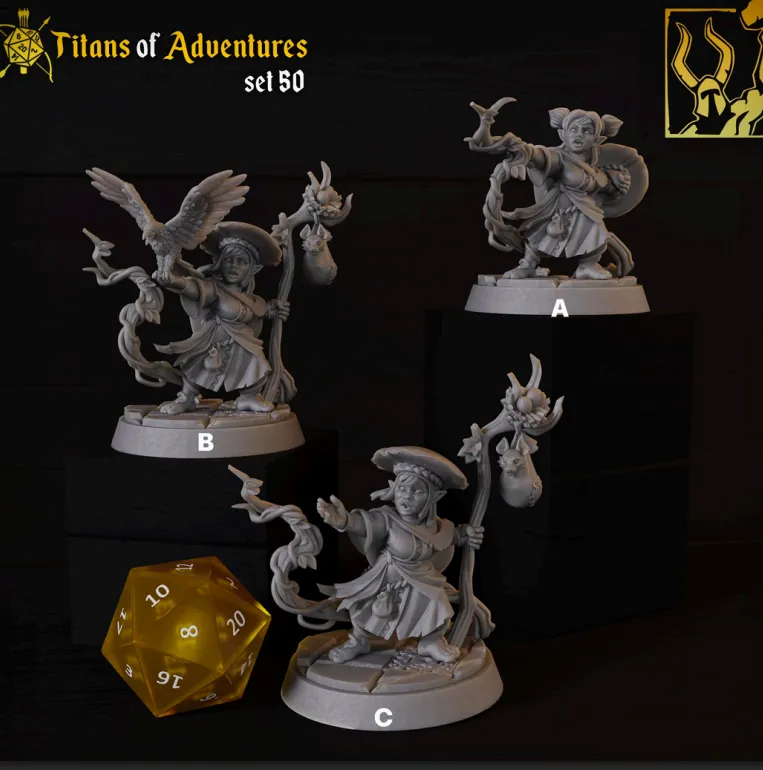 halfling, druida, passaro, natureza, mulher, feminino, cajado, escudo