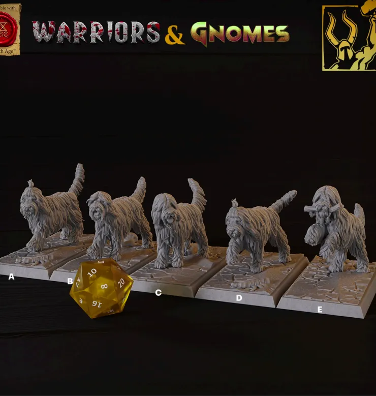 cães, cão, cachorro, , cachorro, animal, animais, animais