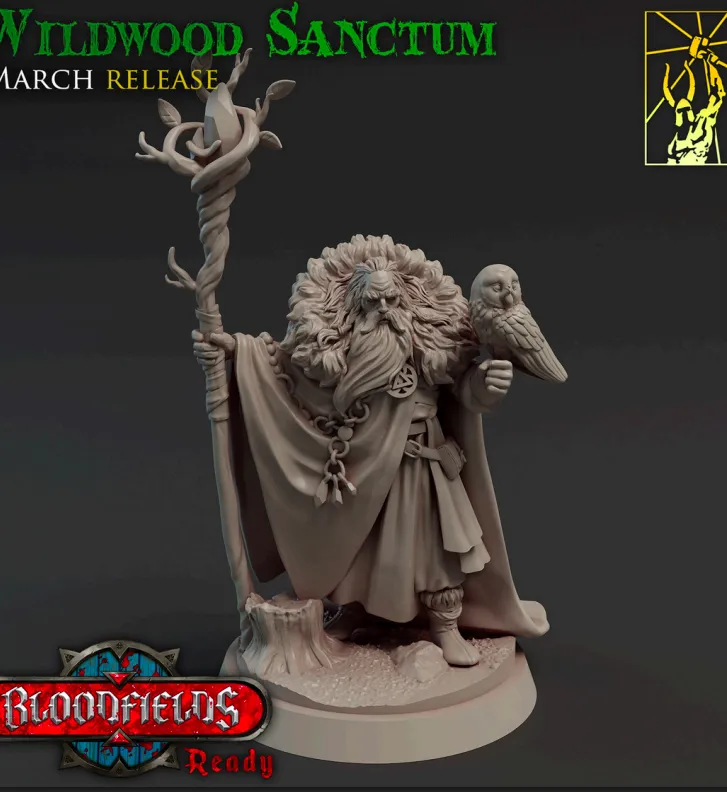 arqui mago, magico, mago, magia, homem, masculino, coruja, animal, animais, cajado, escola de magia