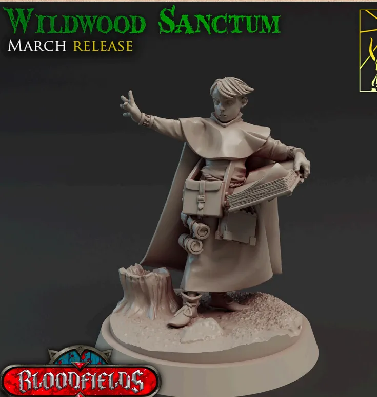 feiticeiro, aprendiz, magia, mago, magico, homem, masculino, livro, humano, escola de magia