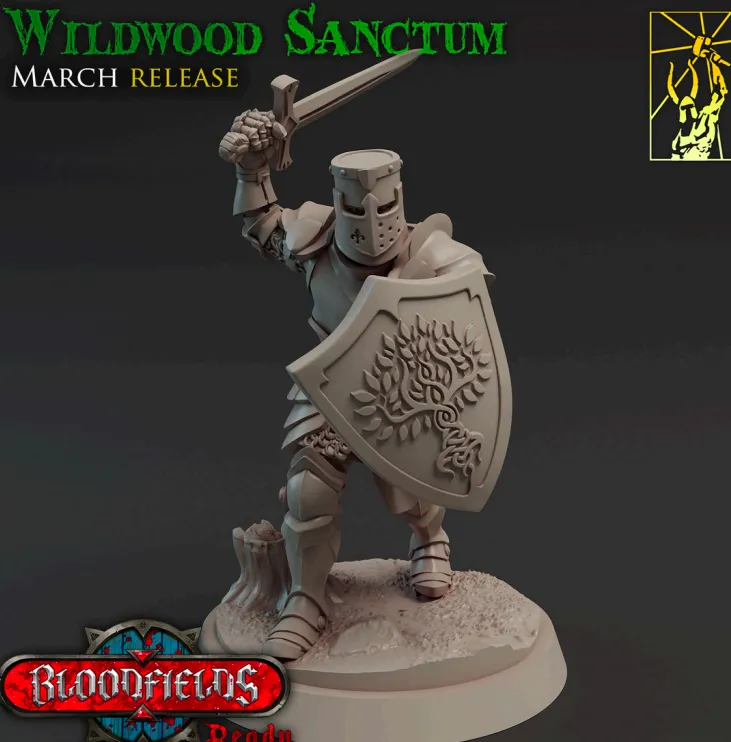 guerreiro, soldado, armadura, homem, masculino, espada, escudo