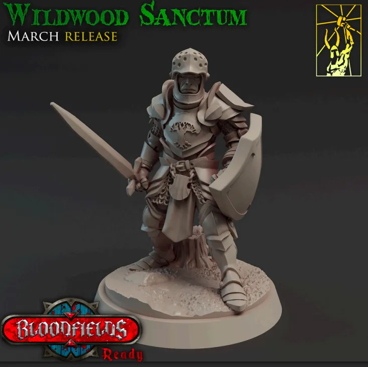 guerreiro, soldado, armadura, homem, masculino, espada, escudo